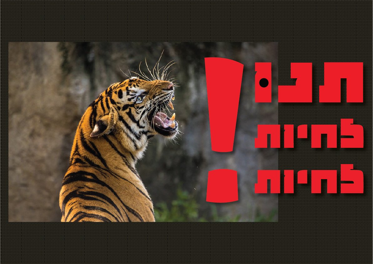 עיצוב כרזת מחאה